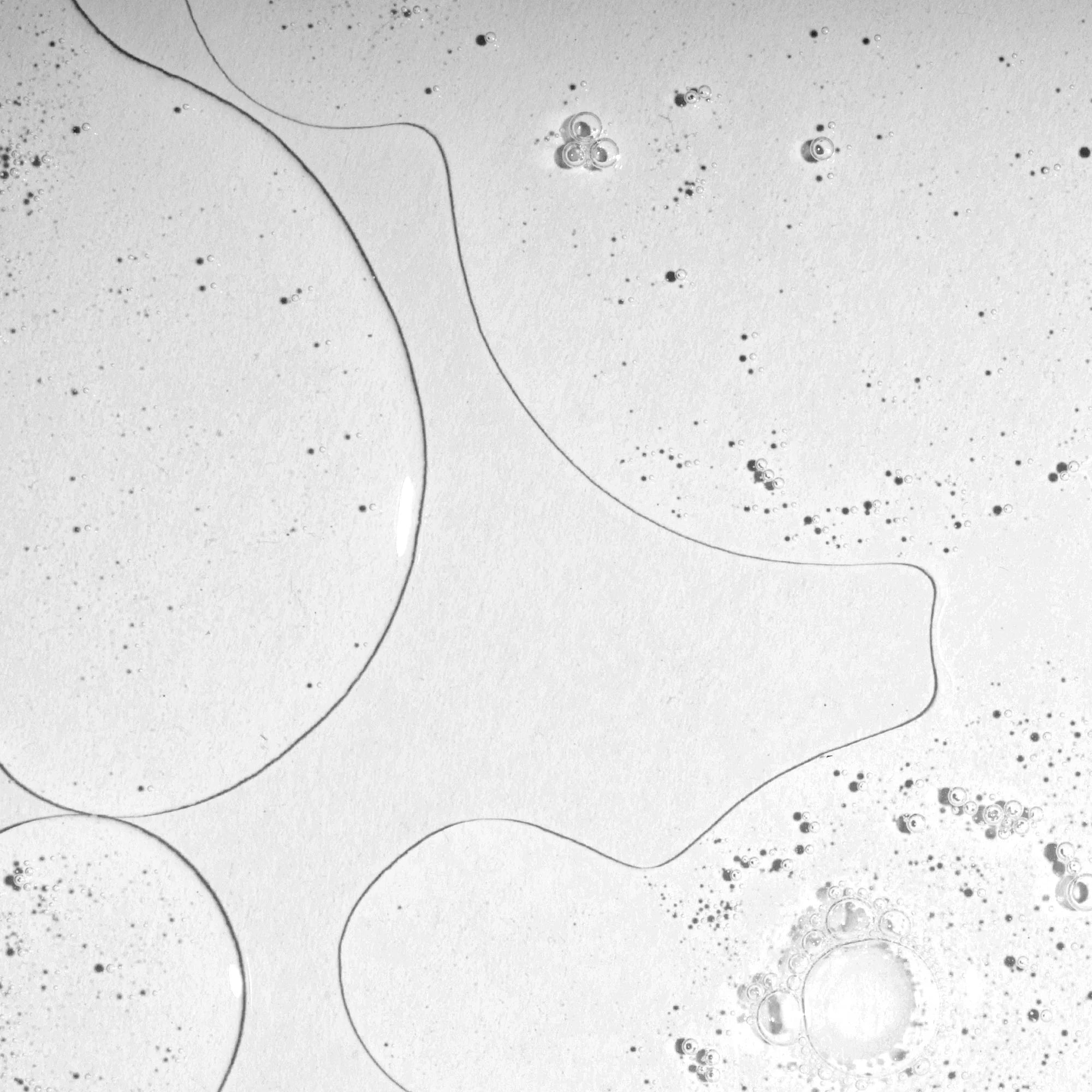 Basic Principle Basic Principle